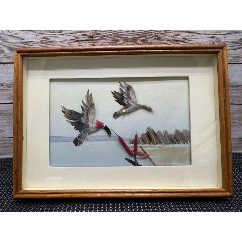 VTG 1984 Feather Bird Duck Art Shadow Box 3D Diorama Wall Picture 10 7/8" X  7.5